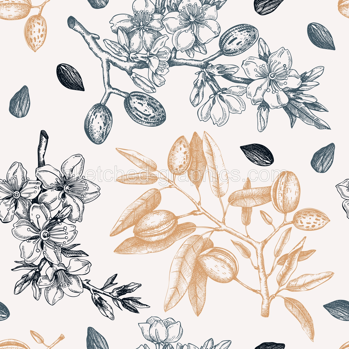 Almond branches vintage background design. Blooming tree twigs with nuts, flowers, leaves backdrop. Floral spring garden background. Botanical vector illustration for packaging, wrapping, prints Illustration